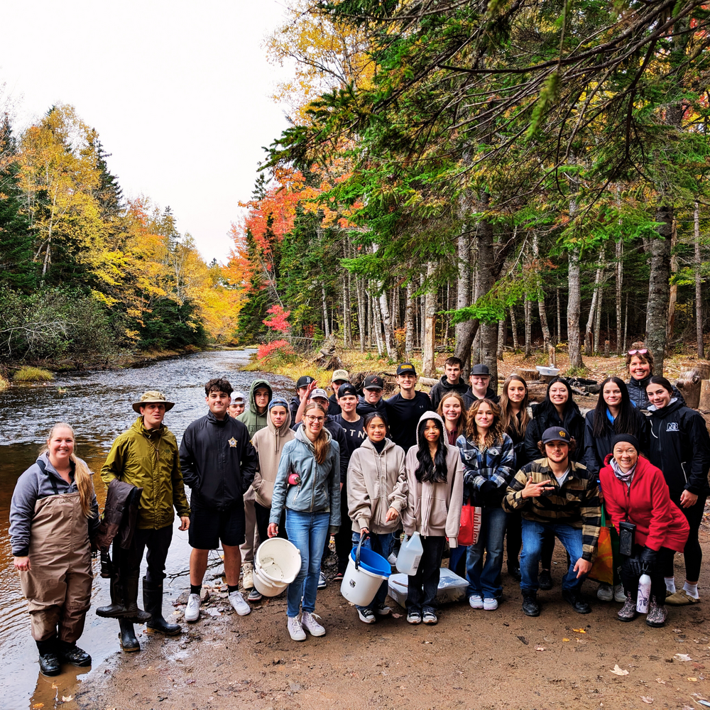 À la découverte de la santé des écosystèmes aquatiques : la rivière Scoudouc.