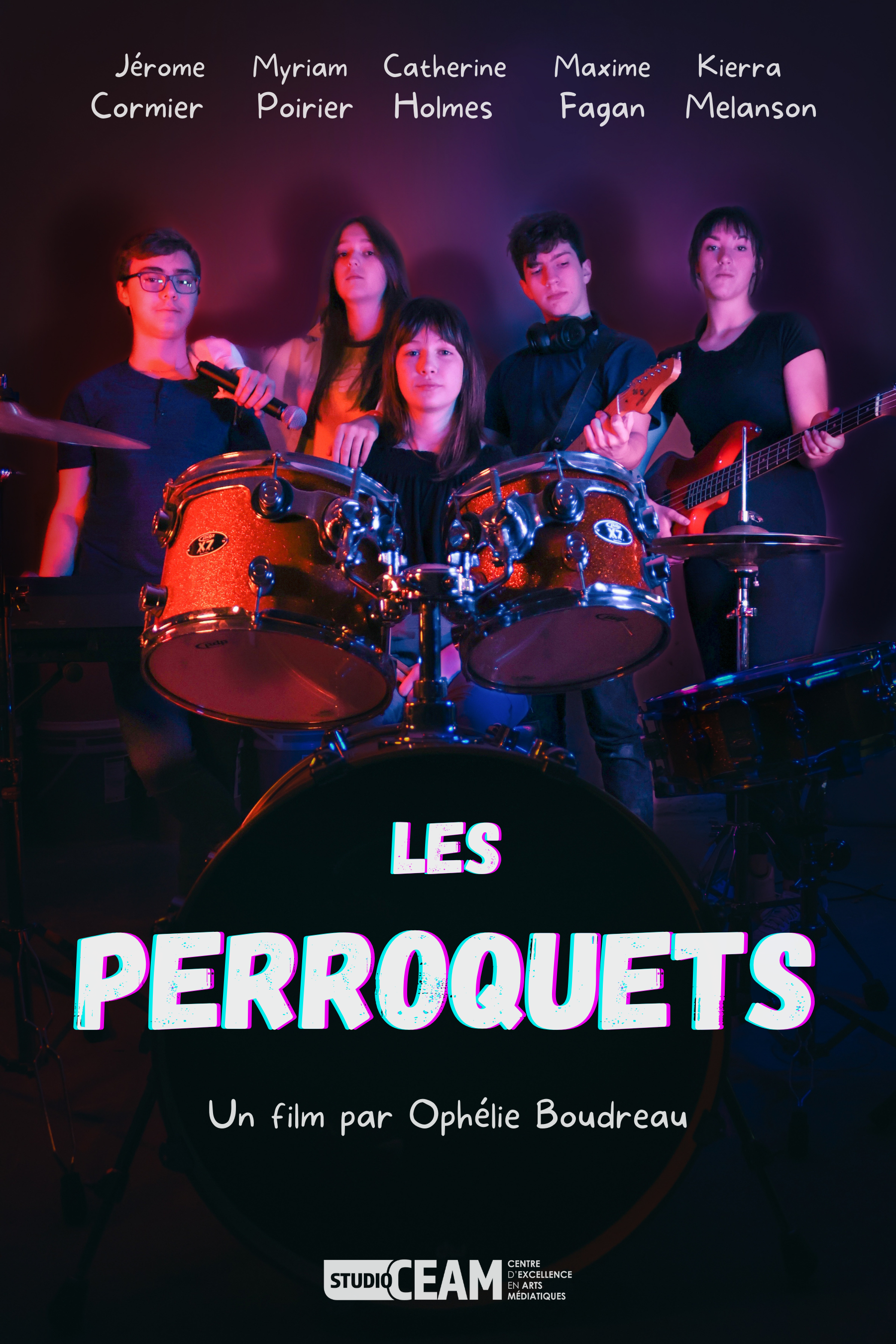 Affiche Les Peroquets