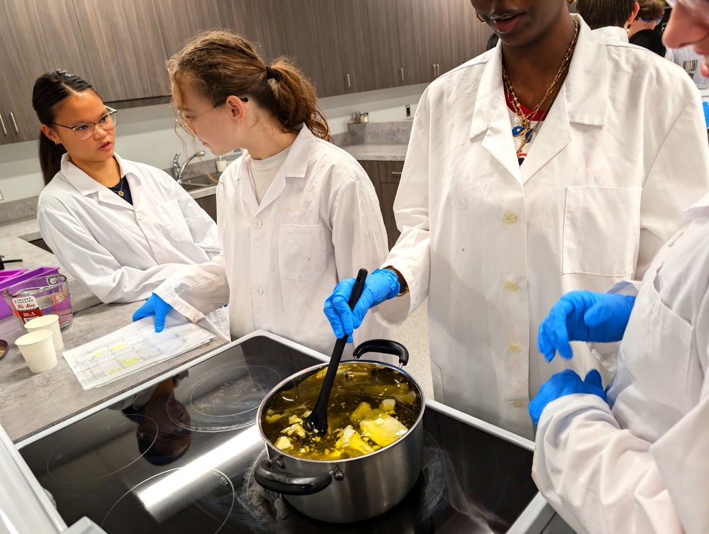 PXL 20241106 173014755