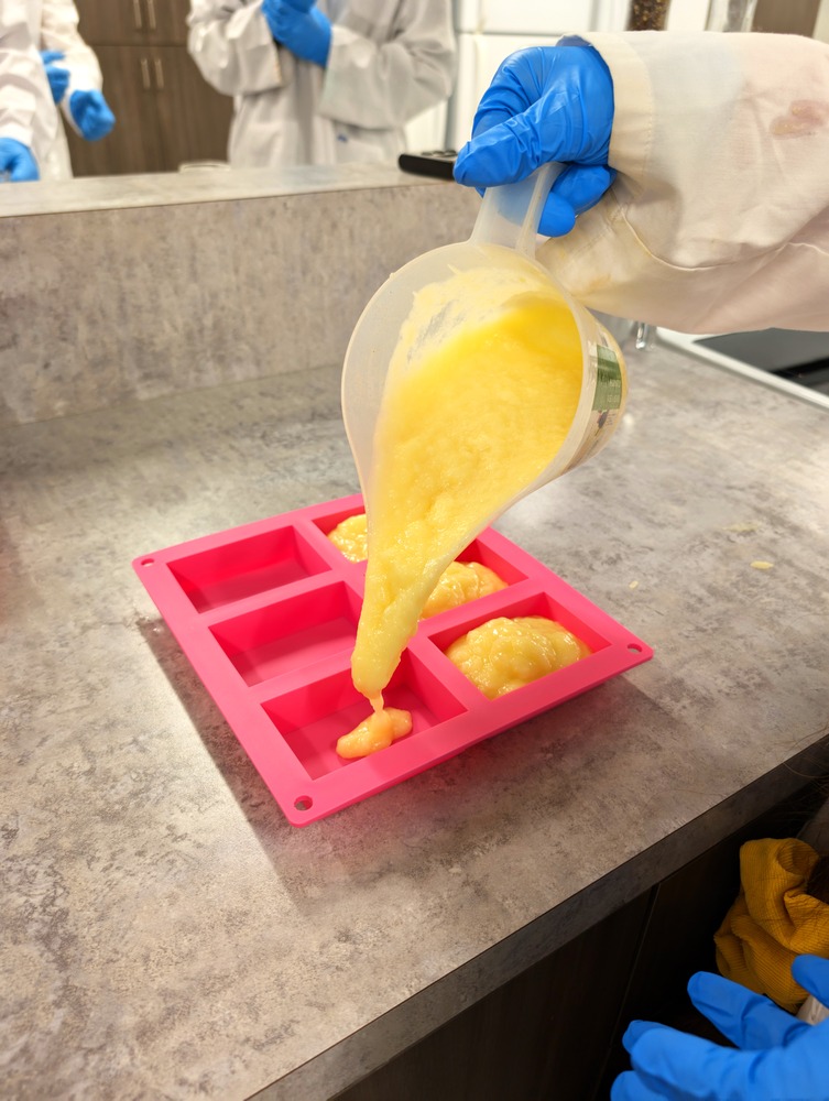 PXL 20241106 175817273 2