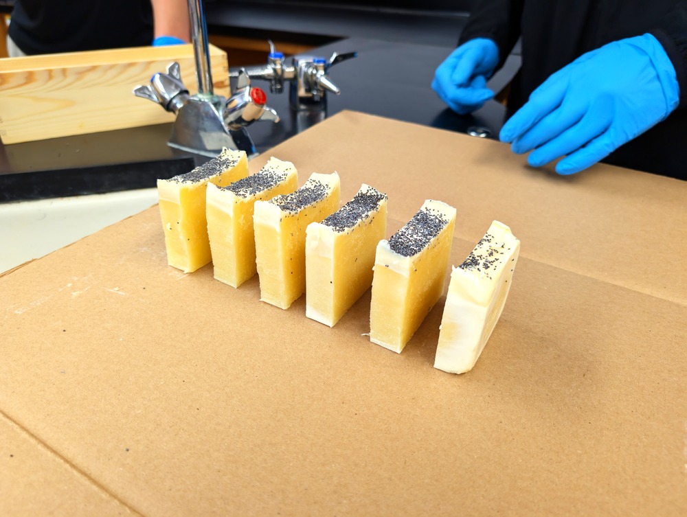 PXL 20241107 173001335